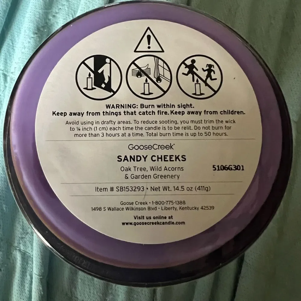 Goose Creek SpongeBob 3 Wick Candle Sandy Cheeks